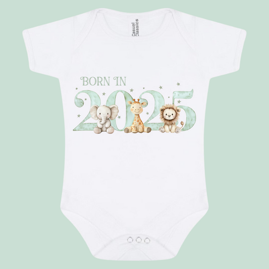 Born In 2025 Baby Bodysuit Outfit Unisex - Pink And Green